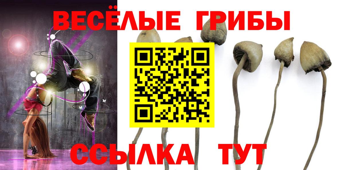 Галлюциногенные грибы ЛСД  Вход с VPN  Лосино-Петровский 